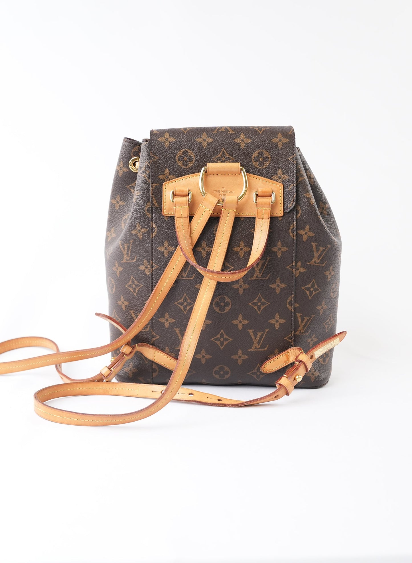 Louis Vuitton Monogram Montsouris NM Backpack