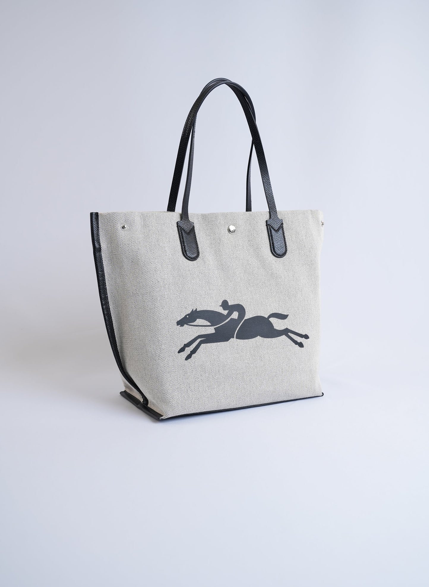 Long Champ Roseau Canvas Tote Bag