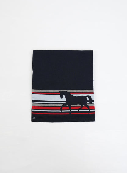 Hermès Cashmere Print Shawl